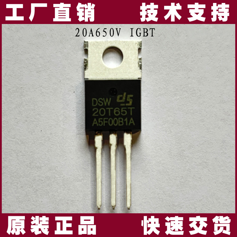 DSW20T65T-充电机-IGBT